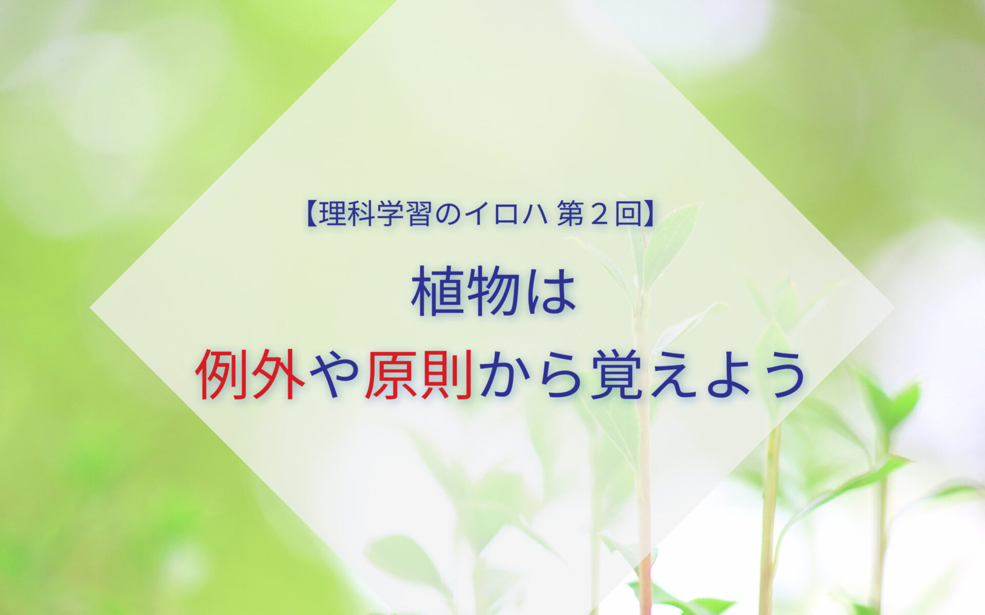 植物は例外や原則から覚えよう【理科学習のイロハ】