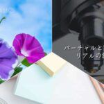バーチャルとリアルの話(後編)【四方山理科話(よもりか)②】