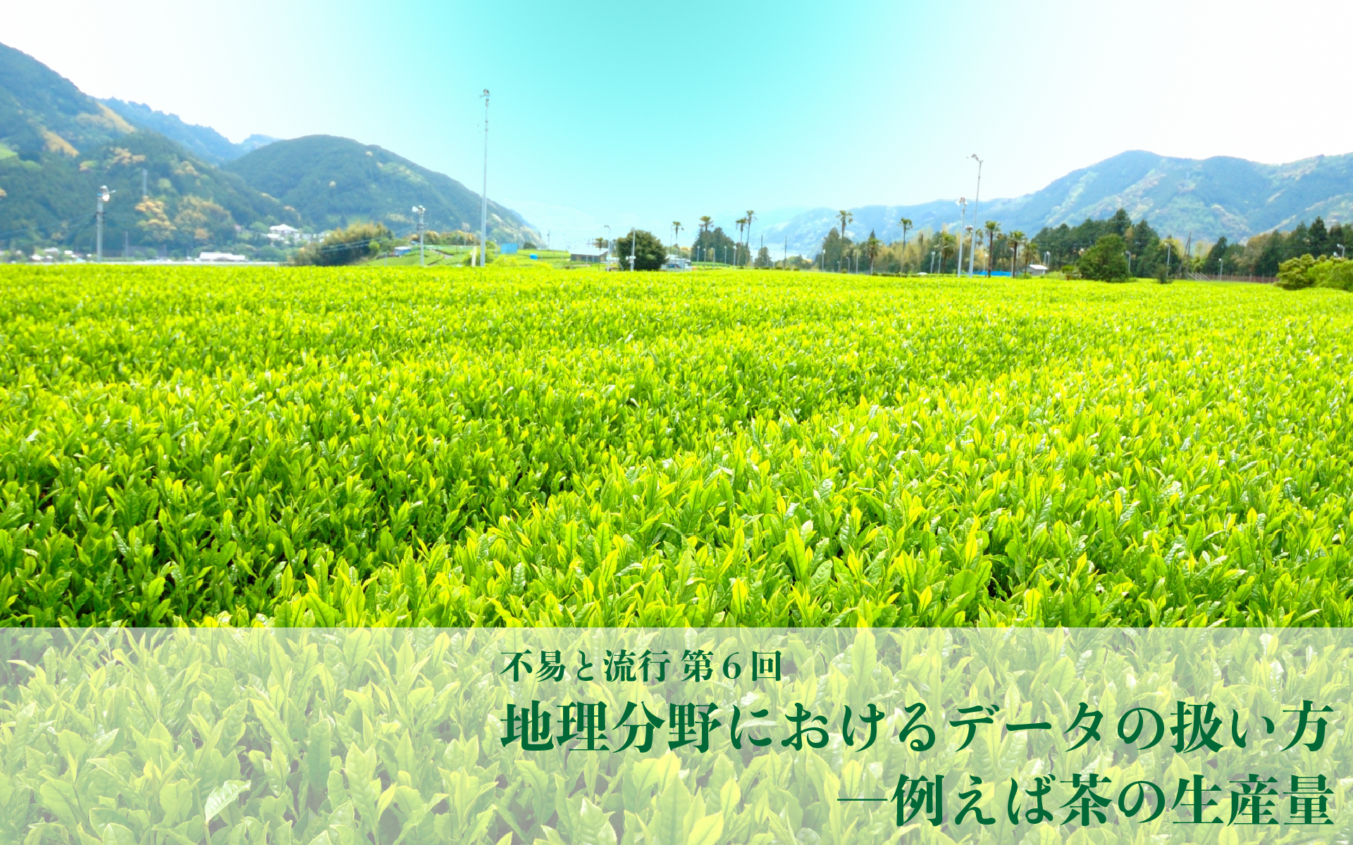 地理分野におけるデータの扱い方-例えば茶の生産量【不易と流行】